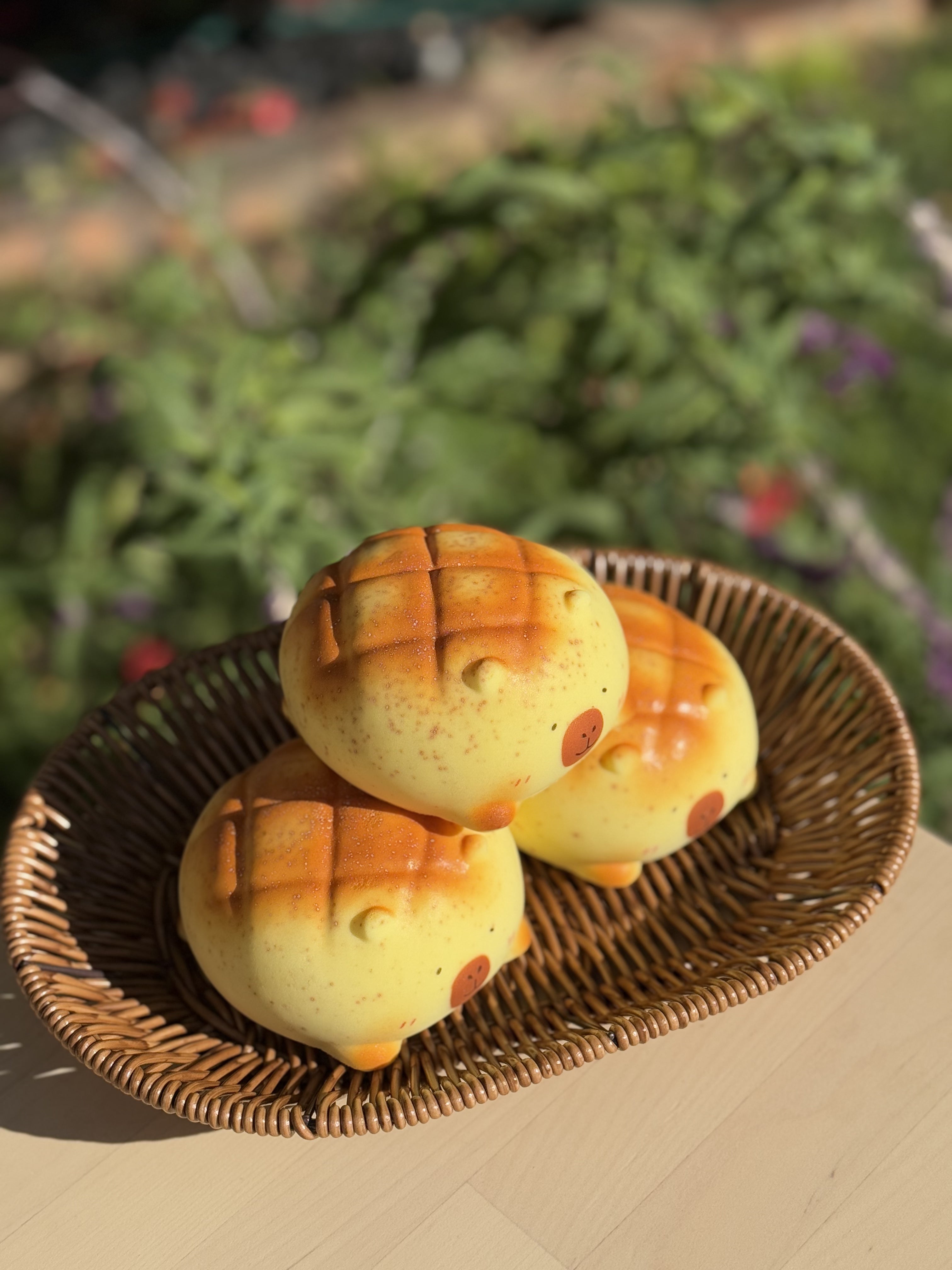 Capybara Pineapple
