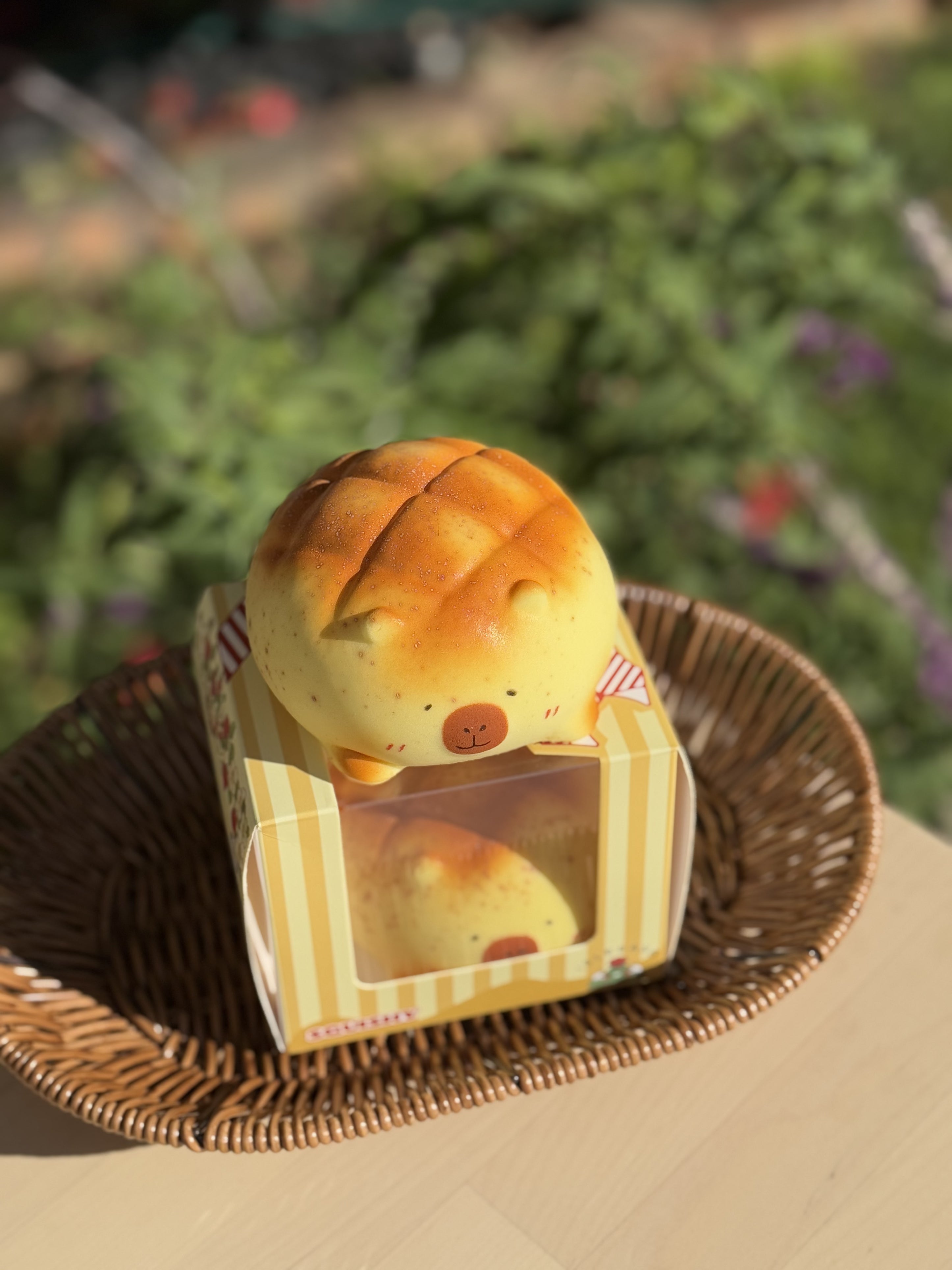 Capybara Pineapple