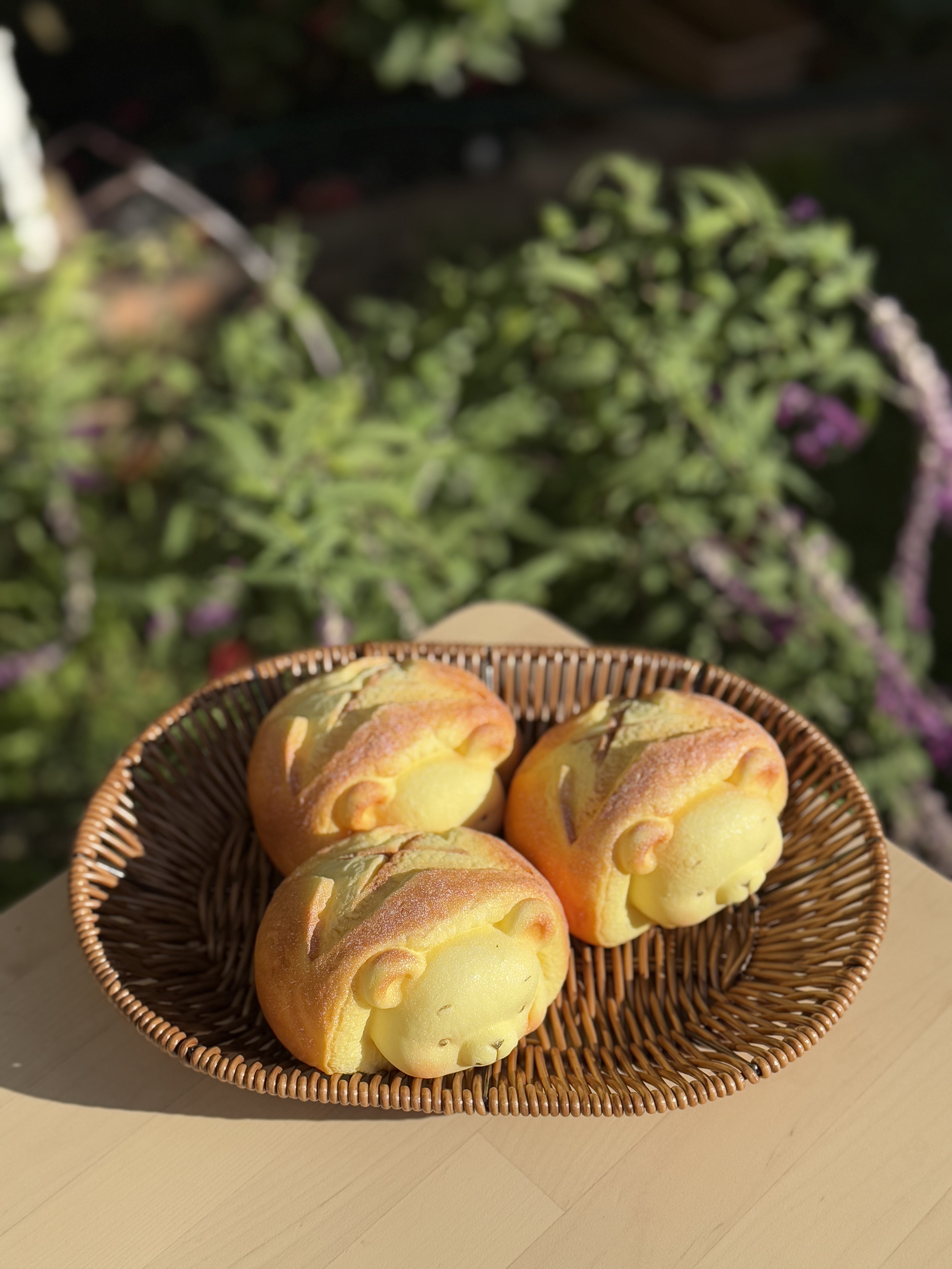Bear Bread Squishy